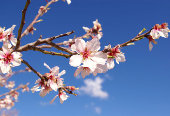 «Егемен Қазақстан» газетіндегі денсаулық тақырыбы