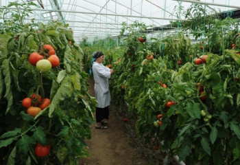 Волшебный мир под землей