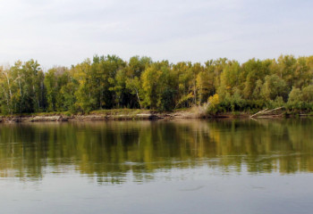 За остатками древних зверей и старого хутора 