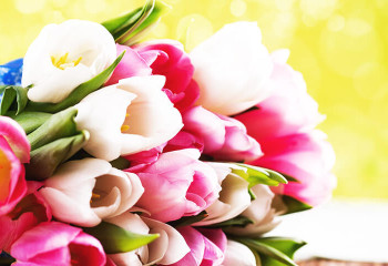 13 интересных фактов про 8 марта