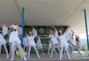 Марш парков в селе Бородулиха