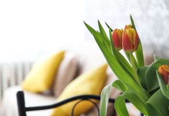 Как облегчить жизнь без кондиционера