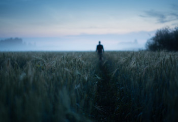 Страшные сказки: остров Барсакельмес