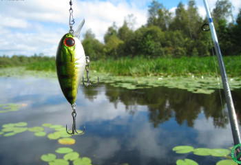 Рыбалка в Астане: снасти, места и наживки