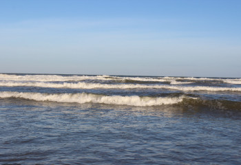 Мексика шығанағындағы бір күн