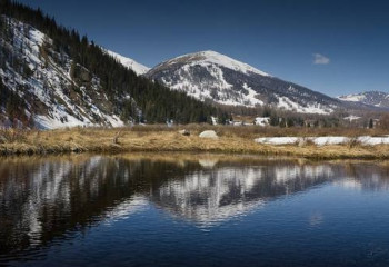 ВКО – регион с невероятной флорой и фауной