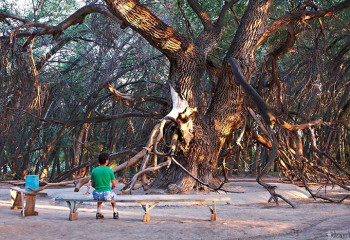 Тур по Жаркенту