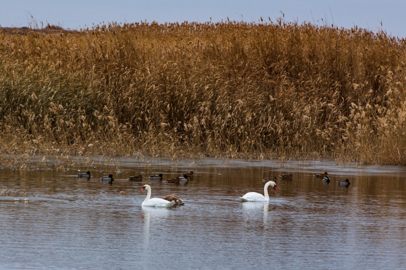  Арман Мухатов 