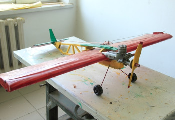 Қолдан ұшақ құрастырған азамат