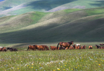 Казахстан – страна природных контрастов