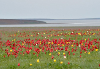 Песня о долгожданной любви