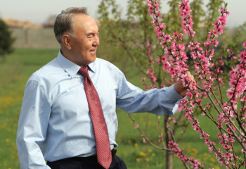 Кому покоряются столицы?