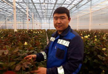 Миллион не только алых роз