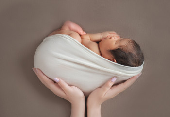 Где найдут спасение «дюймовочка» и «мальчик-с-пальчик»