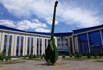 Самая большая домбра