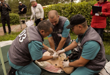 Неотложный экзамен