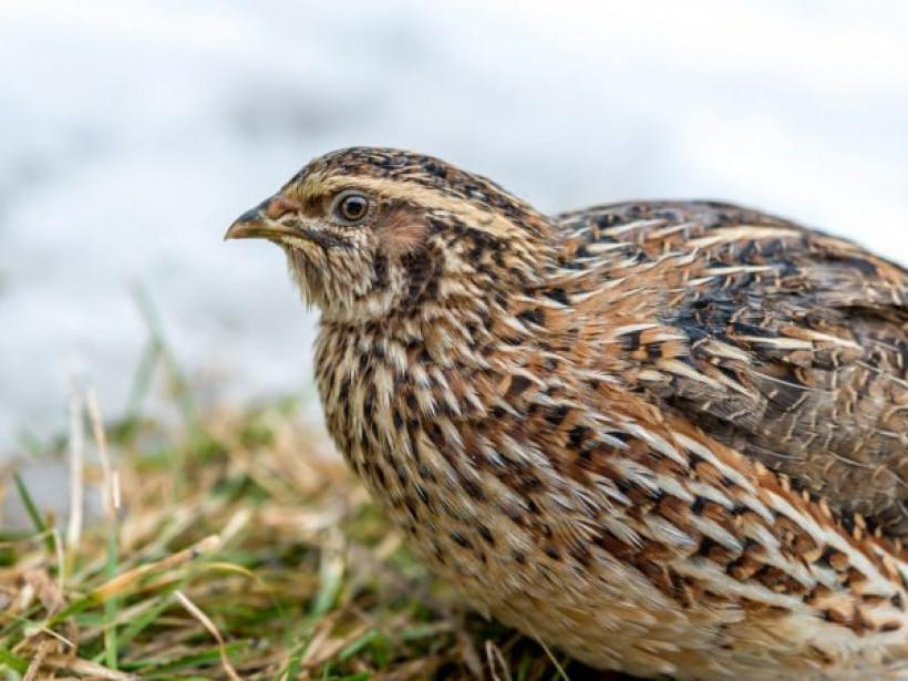  Фото из личного архива Евгении Шелудько 