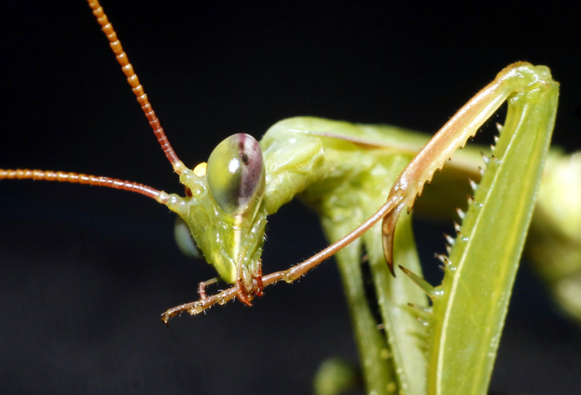  Фото из личного архива Алексея Мехедова. 