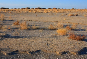 История острова Барсакельмес