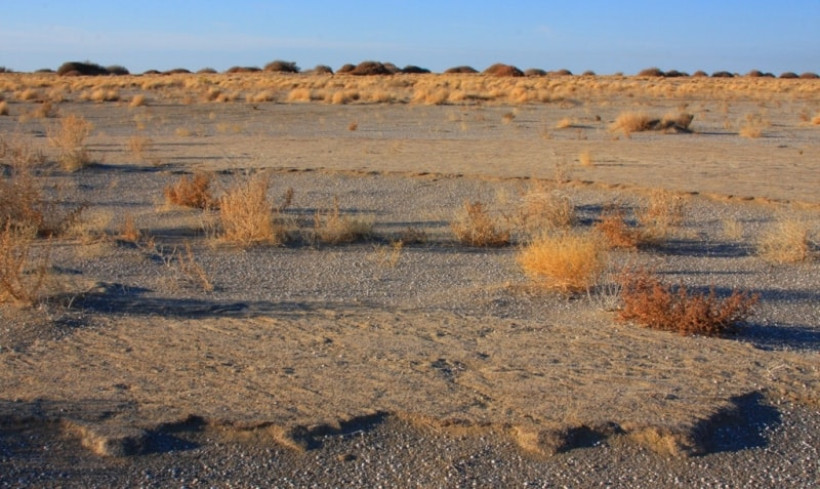  Фото взяты из открытых интернет-источников. 