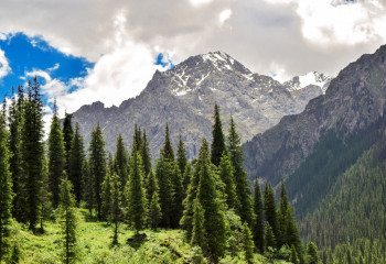 Пики, обращенные к небу