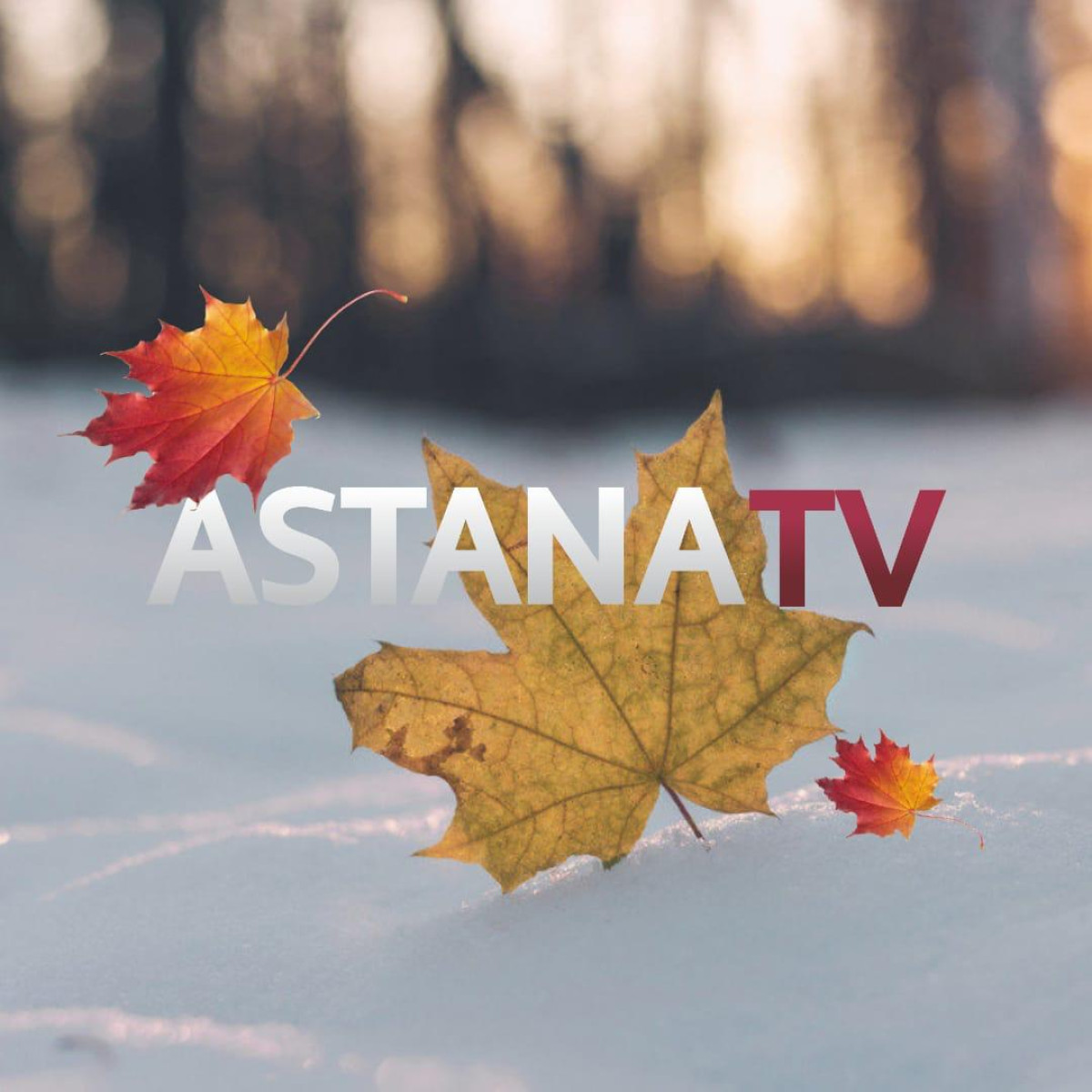  Телеканал "Астана" запустил новый формат вещания