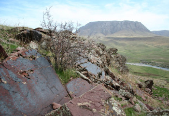Тасқа қашалған тарих: Боралдай петроглифтері
