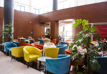 Мейірімді насихаттайтын әлеуметтік кафе