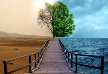 Позитив және негатив