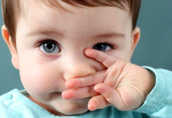 Ұшық жайлы не білу керек? (инфографика)