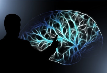 Есте сақтау қабілетін жақсартатын 11 әдіс