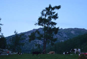 Жарқынбектің Алтайға саяхаты