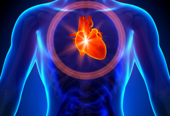 Жүрегіңіз сау болсын десеңіз. Кардиологтан  5 кеңес