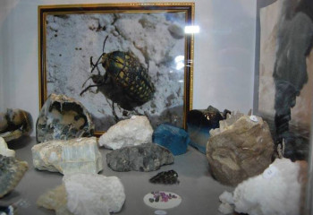 Еліміздегі жалғыз палеонтологиялық мұражай қай қалада?