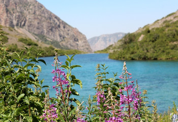 Ғани НАЗАРБЕК: Жастарды экологиялық мәдениетке үйрету керек