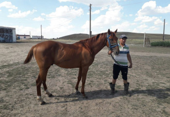 Атбегілер ауылы