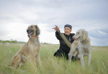 Серілердің сарқыты