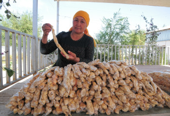 Қауынқақ пен қауынқұрт қалай жасалады?