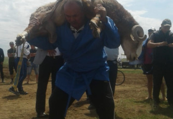 Бұл қазақта жігіттер бар нарқасқа...