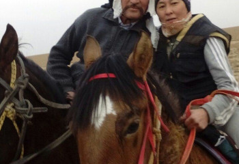 Көкпаршы келіншек