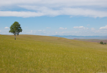 Сіз естімеген мақалдар