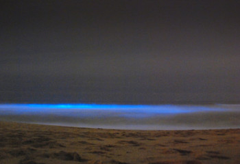 Күндіз кәдімгі көл, ал түнде ...