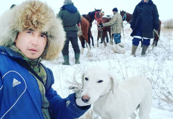 Итбегі