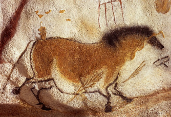 Біздің «құлан» деп жүргеніміз – жабайы есек пе?