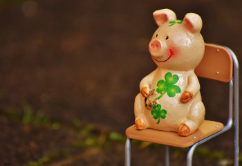 Доңыз жылынан доңыз жылына дейін...