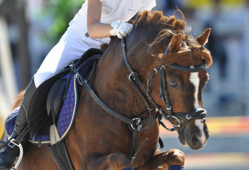 Иппотерапия: ат спортының пайдасы қандай?