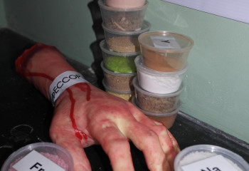 Қызылжардан квеструм ашқан кәсіпкерлер