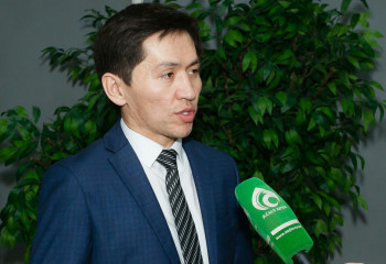 Менің барлық жобаларым 