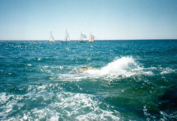 Каспийде қандай балықтар мекендейді?