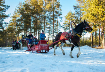 8 winter capital entertainments